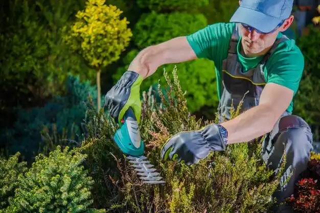 landscaping services Glens Falls North